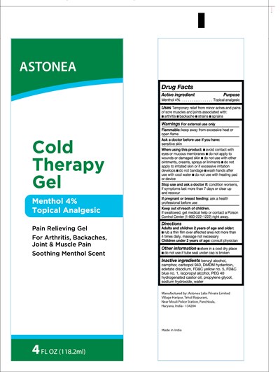 89-2204 Cold Therapy Gel 4oz - Astonea.jpg Principal Display and Drug Fact Panel - 89 2204 Cold Therapy Gel 4oz Astonea